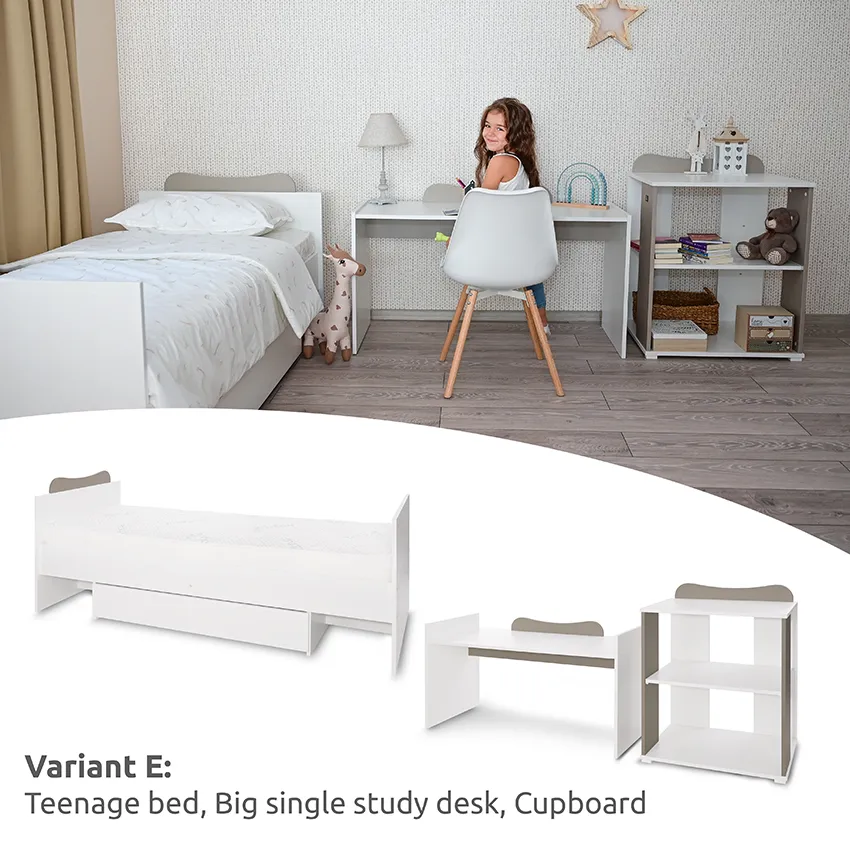10150570037A_BED MULTI_Variant E - Teenage bed, Big single study desk, Cupboard.webp