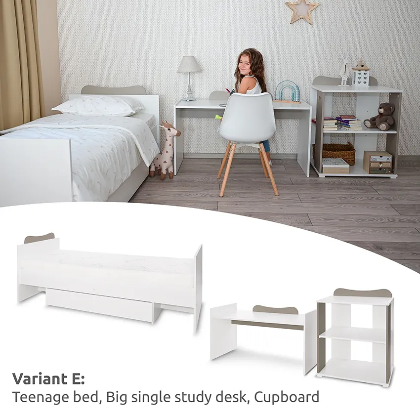 10150570037A_BED MULTI_Variant E - Teenage bed, Big single study desk, Cupboard.webp